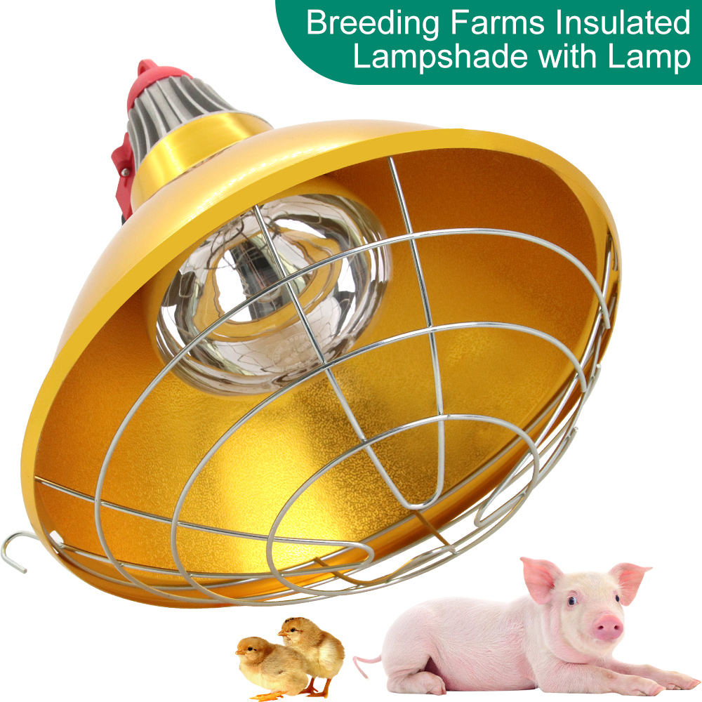 Farming Equipment For Agriculture - Vee Varken Broed Warmer Verwarming Lampenkap