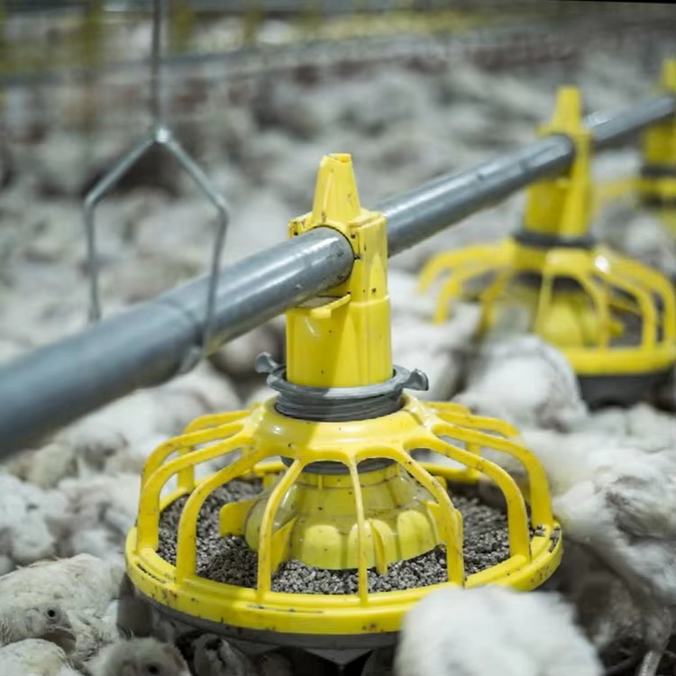 Farming Equipment For Agriculture - Landbouwapparatuur voor kippen en pluimvee/apparatuur voor