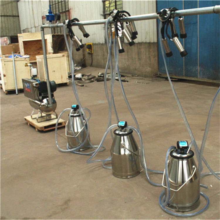Farming System & Sustainable Agriculture - Melkmachine, vast systeem met emmers, melkveebedrijfsapparatuur,
