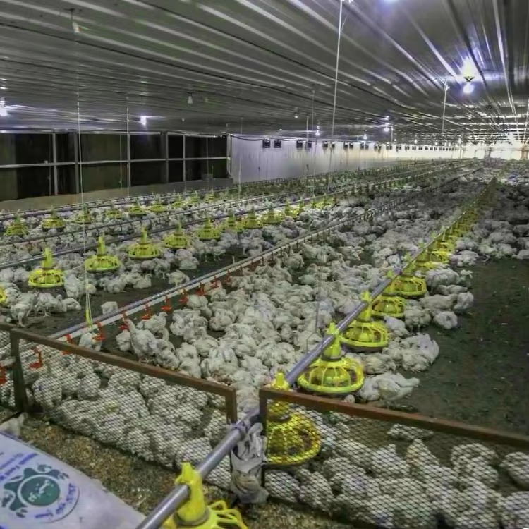 Landbouwapparatuur voor kippen - Farming Equipment For Agriculture recensie en prijs
