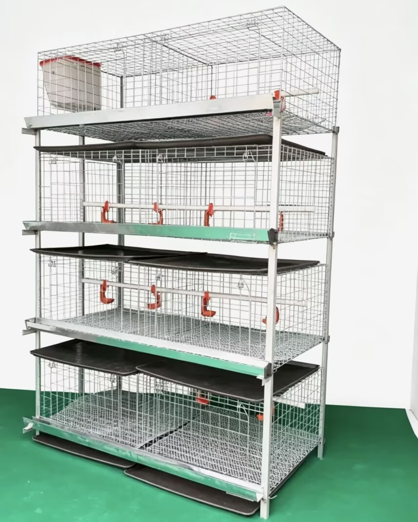 Nieuw H-type broilerkippenkooi - Farming System & Sustainable Agriculture recensie en prijs